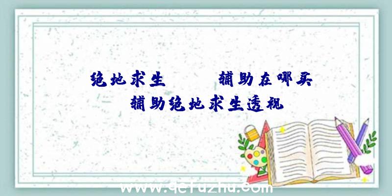 「绝地求生steam辅助在哪买」|辅助绝地求生透视